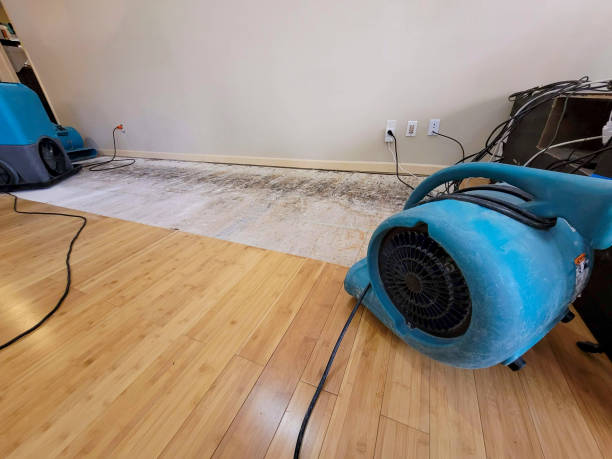 Professional Structural Drying technician working in Bloomfield Hills, MI